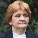 Kakva ministarka - takvo zdravstvo: Šta nam je poručila Danica Grujičić tvrdnjom da ćemo zbog "lova na veštice" ostati bez akušera 7