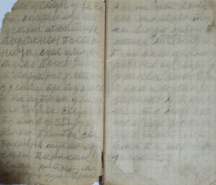 Dnevnik Šumadinca otkriva kako je izgledao hadžiluk pre 100 godina 4