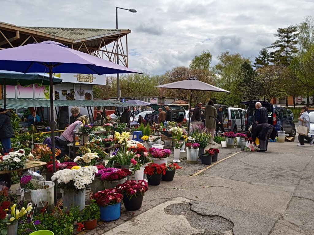 “Kupuju po 30 jaja, retko ko je uzeo 50 komada, a pre su uzimali i 100”: Kako se Subotičani spremaju za Vaskrs 5