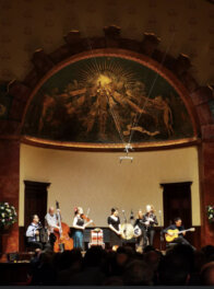 IMG_8203 "Englezi uglavnom znaju o Srbiji ono što vide na BBC": Muzičar Živorad Žika Nikolić o životu u Londonu i popularnosti harmonike na Zapadu (FOTO) 4