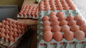 Ima ih dovoljno, ali nisu jeftina: Pregled cena jaja pred Uskrs u 11 gradova Srbije 4 Ima ih dovoljno, ali nisu jeftina: Pregled cena jaja pred Uskrs u 11 gradova Srbije 4