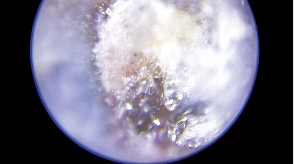 Izložba "Zapisi van vremena i sveta" Katarine Vasiljević u kragujevačkom Malom likovnom salonu 1