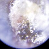 Izložba "Zapisi van vremena i sveta" Katarine Vasiljević u kragujevačkom Malom likovnom salonu 8