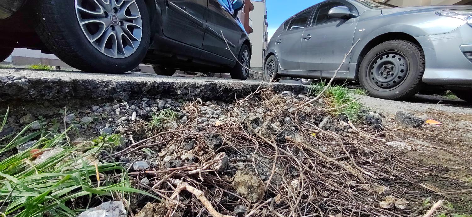 "Asfalt puca, kanalizacija se izliva": Zašto stanari u beogradskom naselju Mirijevo strahuju od klizišta (FOTO) 2 "Asfalt puca, kanalizacija se izliva": Zašto stanari u beogradskom naselju Mirijevo strahuju od klizišta (FOTO) 2