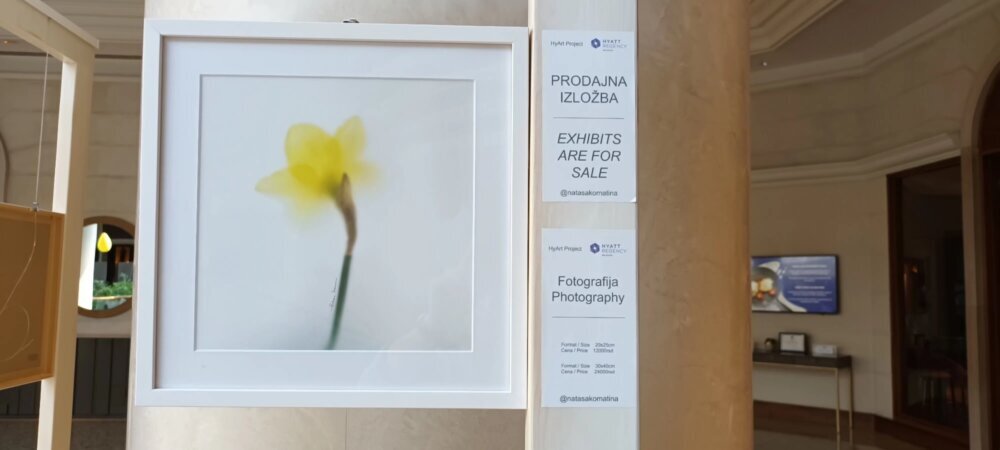 Nataša Komatina- Fotografkinja svih strana cveta 2 Nataša Komatina- Fotografkinja svih strana cveta 2