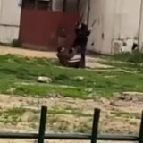 Srpska policija tukla migrante u Somboru (VIDEO) 6