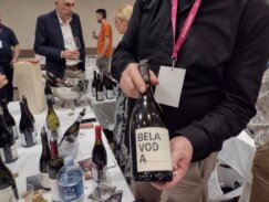 Sav srpski svet ali vinski na Salonu u Kragujevcu: Od muštuluka i tamnjanike do patine i mistike 10