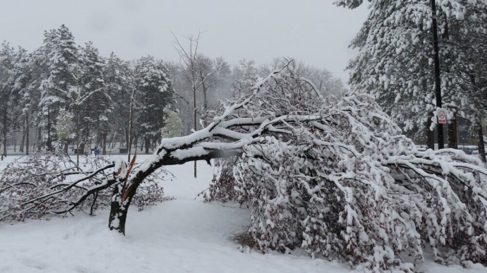 Saniranje posledica nevremena u Kragujevcu 1