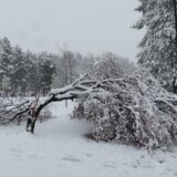 Saniranje posledica nevremena u Kragujevcu 12