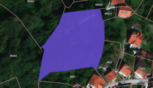 Kako je Grad Užice „prisvojio“ privatnu parcelu, bez znanja i saglasnosti njene vlasnice 6