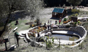 Gde Užičani provode Prvi maj: Od Mokre i Jelove gore, preko Zabučja do Zlatibora 2