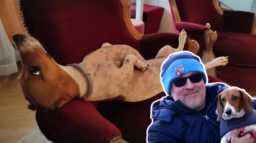 Igor Brakus i pas Lena Kravica: "Mislim da smo oboje dosta lenji" 1