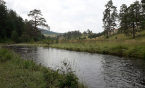 Gde Užičani provode Prvi maj: Od Mokre i Jelove gore, preko Zabučja do Zlatibora 5