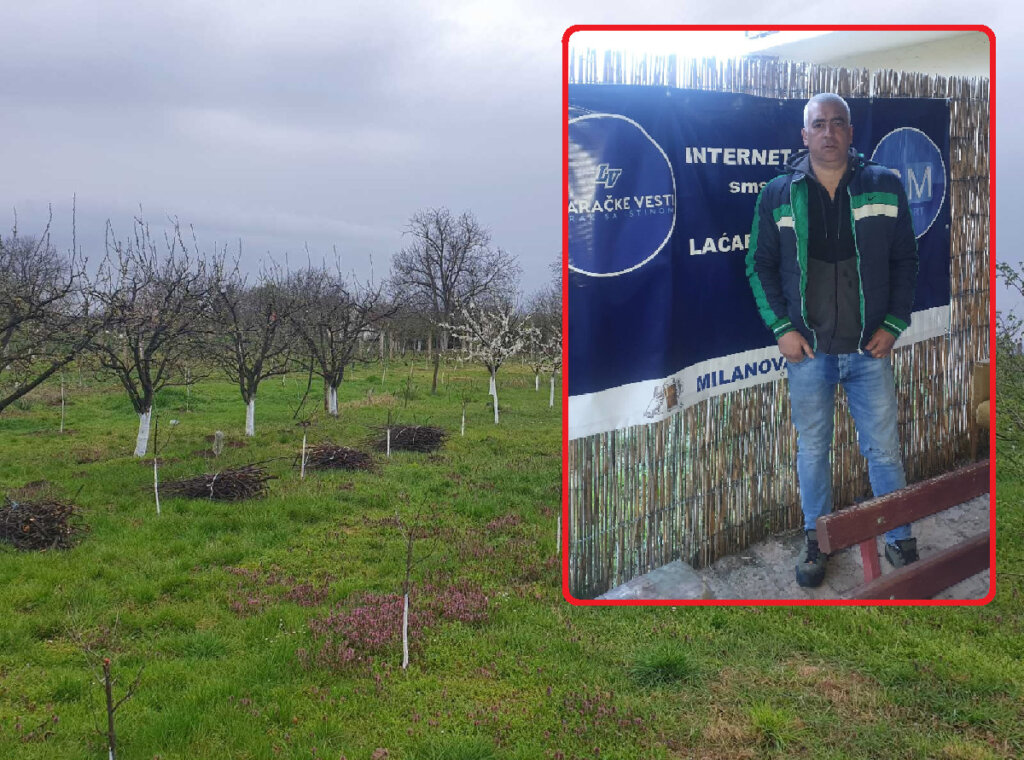 Naselje Laćaračko brdo: Mesto gde vile zorom igraju kolo 2 Naselje Laćaračko brdo: Mesto gde vile zorom igraju kolo 2