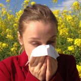 Svaki deseti stanovnik planete alergičan na ambroziju: Zašto je ta biljka jako opasna po ljude? 10