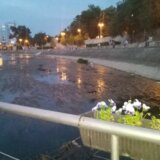 Dan planete Zemlje i u Nišu 8