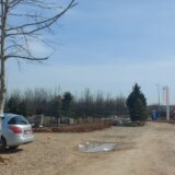 Zašto posečeno drveće na lokaciji gde kineski Jusei gradi fabriku u Nišu nije presađeno na drugu lokaciju? 18