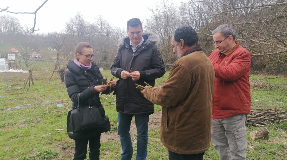 SBB fondacija zasadila 1.200 košarastih vrba u selu Roćevići 1