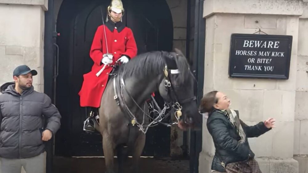 Nema šale s konjem Kraljeve garde: Turistkinja bila nemarna pa zamalo da ostane bez repa (VIDEO) 1