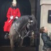 Nema šale s konjem Kraljeve garde: Turistkinja bila nemarna pa zamalo da ostane bez repa (VIDEO) 19