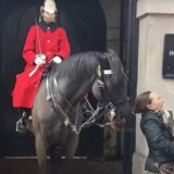 Nema šale s konjem Kraljeve garde: Turistkinja bila nemarna pa zamalo da ostane bez repa (VIDEO) 4