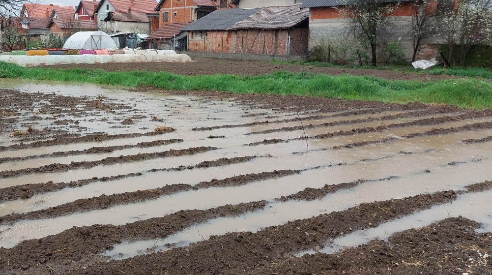 “Poplavljena su nam dvorišta i plastenici”: Dok se drugi bore sa snegom, stanari dela Zaječara muku muče sa vodom 7