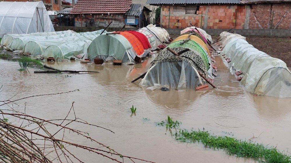 “Poplavljena su nam dvorišta i plastenici”: Dok se drugi bore sa snegom, stanari dela Zaječara muku muče sa vodom 1