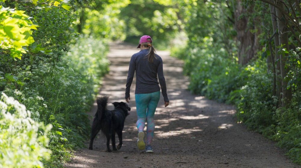 Koliko nedeljno treba da hodate ako želite da živite duže: Rezultati nove studije 1