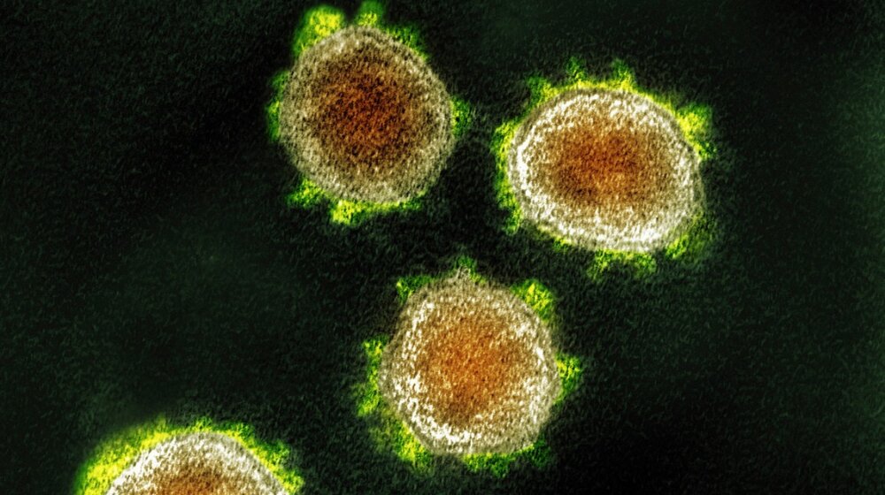Šta znamo o Arcturusu, novom soju korone koji je otkriven u 22 zemlje: Ovo su simptomi 1