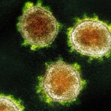 Šta znamo o Arcturusu, novom soju korone koji je otkriven u 22 zemlje: Ovo su simptomi 8