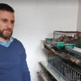 “Za dva meseca od jajeta imaš koku koja nosi”: Kako je Zaječarac Saša Radovanović rešio da uzgaja prepelice 2