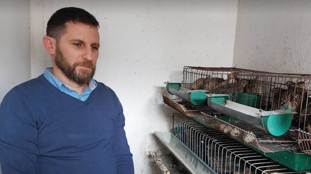 “Za dva meseca od jajeta imaš koku koja nosi”: Kako je Zaječarac Saša Radovanović rešio da uzgaja prepelice 1