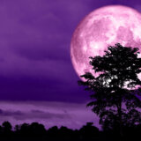 Stiže nam „Ružičasti pun mesec": Evo zašto se tako naziva 11