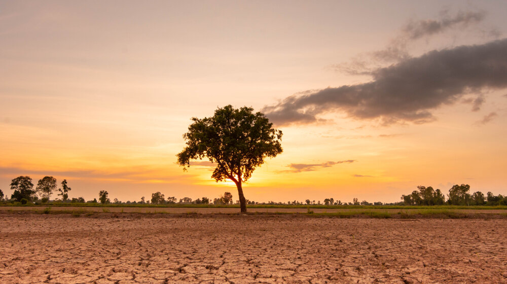 Svet će se suočiti sa rekordnim temperaturama u 2023. godini? 1