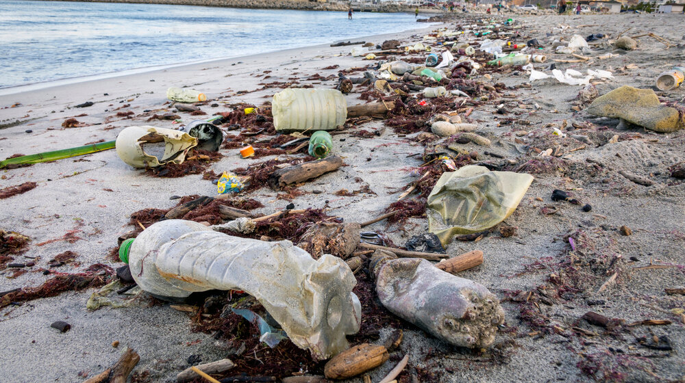Evropski parlament predložio da se ekocid uvrsti u krivično pravo EU 1