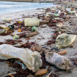 Evropski parlament predložio da se ekocid uvrsti u krivično pravo EU 2