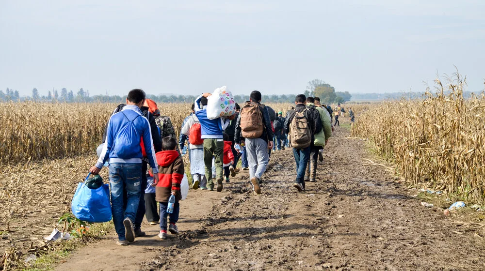 Albanac, Kosovar i Ukrajinac švercovali migrante 1