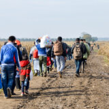 Albanac, Kosovar i Ukrajinac švercovali migrante 1