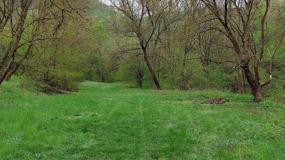 Klisura Prlitske reke - skriveni dragulj pored Zaječara 2