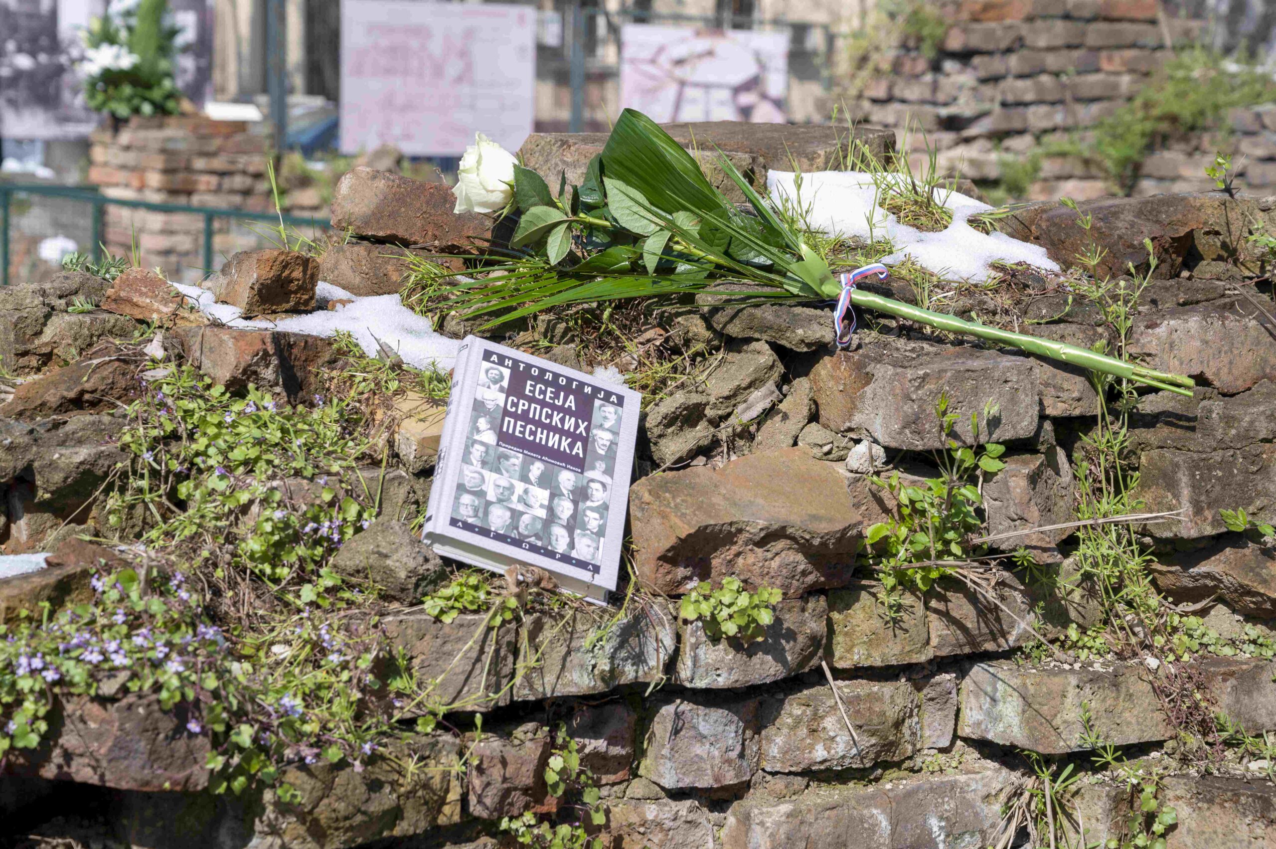 Cvet i knjiga na mestu stradanja Narodne biblioteke na Kosančićevom vencu 2