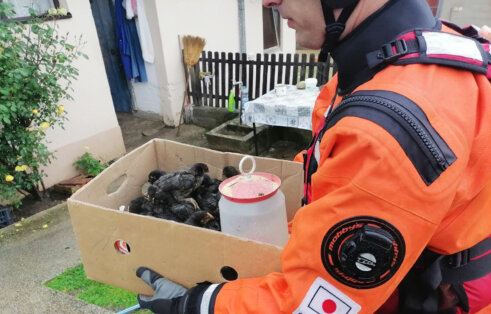 03 MUP evakuisao sedam osoba: Zbog obilnih padavina u Zapadnoj Srbiji proglašeno vanredno stanje 7