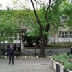 Pomoćnik ministra prosvete: Učenici škole Vladislav Ribnikar od 10. maja u školskim klupama 12