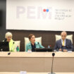 DZVM: REM u duhu političkog dogovora, a ne zakona 11