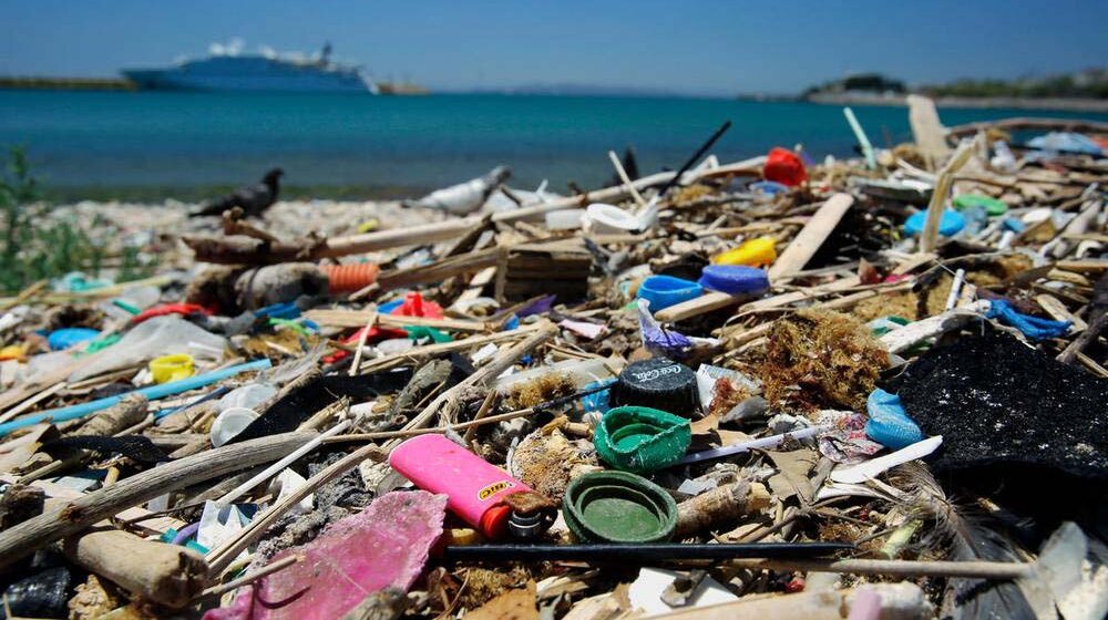 WWF poziva na globalnu zabranu štetnih jednokratnih plastičnih proizvoda 1