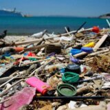 WWF poziva na globalnu zabranu štetnih jednokratnih plastičnih proizvoda 2