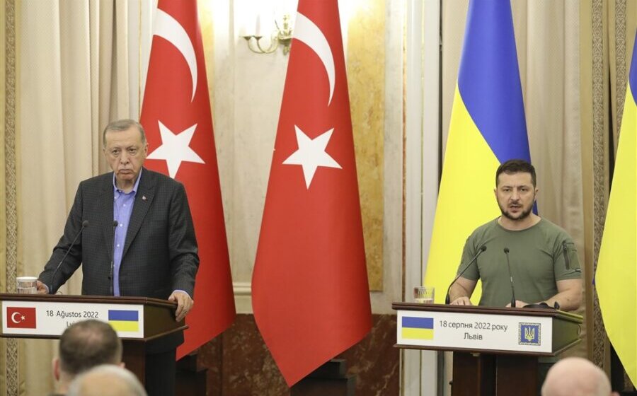 Sastanak Zelenskog i Erdogana sutra u Istanbulu o izvozu ukrajinskog žita 1