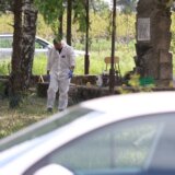 "Pucnjava u periodu žalosti": Kako ruski mediji izveštavaju o masovnom ubistvu kod Mladenovca 12