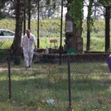 Tužilaštvo traži produženje pritvora osumnjičenom za masovno ubistvo u okolini Smedereva i Mladenovca 2