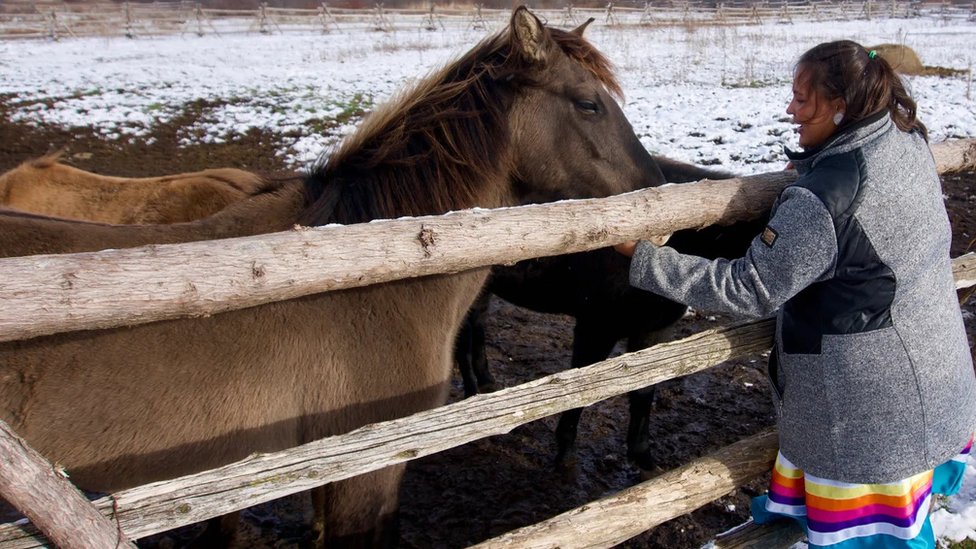 Ambasadorka kulture Megi Dauner vidi konje kao „četvoronožne ambasadore"