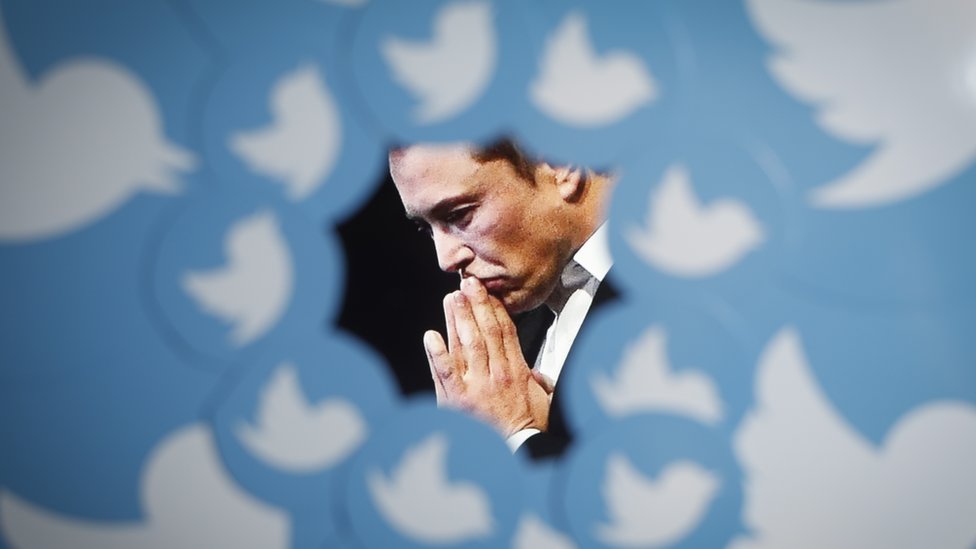 An image of new Twitter owner Elon Musk is seen surrounded by Twitter logo